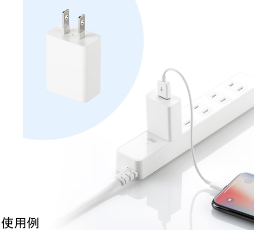 サンワサプライ USB充電器 (1A・ホワイト) ACA-IP86W 1セット (ご注文単位1セット) 【直送品】