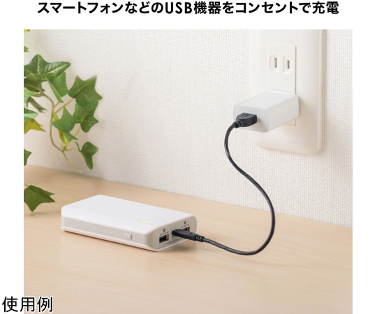 サンワサプライ USB充電器 (1A・ホワイト) ACA-IP86W 1セット (ご注文単位1セット) 【直送品】