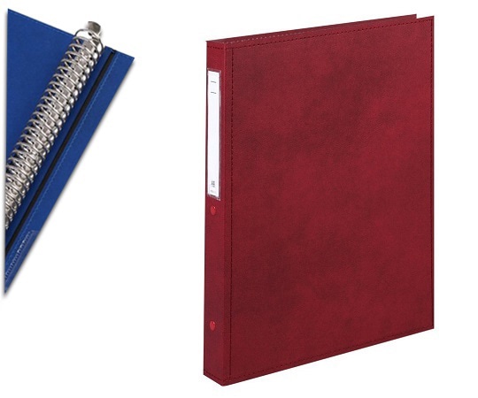 LIHITLAB カルテブック A4・30穴・スタンダード レッドCY4-30L 1冊 (ご注文単位1冊) 【直送品】