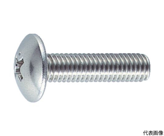 アズワン トラス頭小ねじ ステンレス 全ネジ M5×10 73本入B52-0510 1パック (ご注文単位1パック) 【直送品】