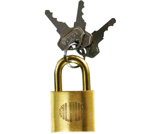 アルファ アルファ南京錠 #1000 25mmAL-002 1個 (ご注文単位1個) 【直送品】