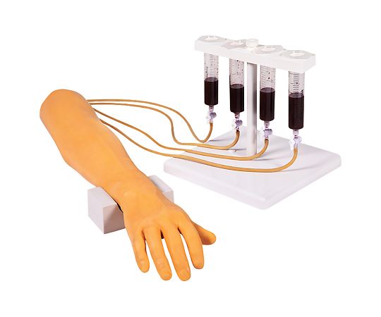 Erler-Zimmer 点滴・採血練習キット 本体セット 1セット (ご注文単位1セット) 【直送品】