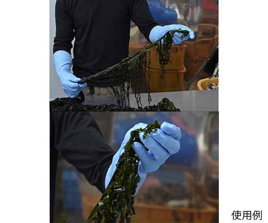 アズワン ニトリスト スーパーロング 滅菌済 S 1箱 (50枚入) No.887 1箱 (ご注文単位1箱) 【直送品】