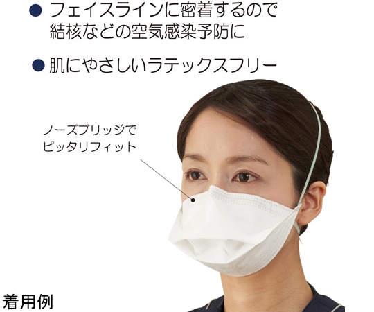 竹虎 サージマスク N-95 (折りたたみ式) 1枚×10個入076078 1箱 (ご注文単位1箱) 【直送品】