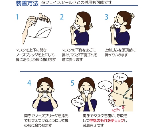 竹虎 サージマスク N-95 (折りたたみ式) 1枚×10個入076078 1箱 (ご注文単位1箱) 【直送品】