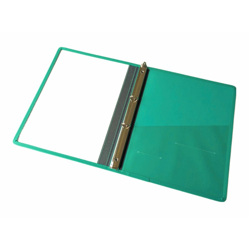 サンリーフ カルテブック (クリアータイプ) A4 2穴 グリーン 背幅30mmSKC-430-2GR 1冊 (ご注文単位1冊) 【直送品】