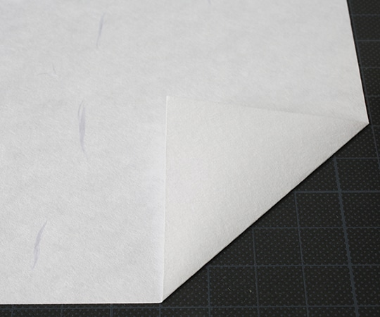 大直 大礼紙 白 A4 50枚入206040401 1パック (ご注文単位1パック) 【直送品】