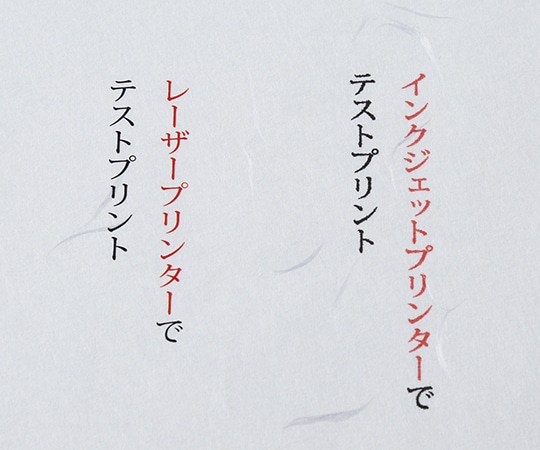 大直 大礼紙 白 A4 50枚入206040401 1パック (ご注文単位1パック) 【直送品】