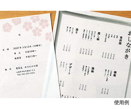 大直 大礼紙 白 A4 50枚入206040401 1パック (ご注文単位1パック) 【直送品】