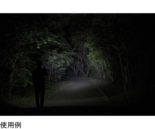 ジェントス LEDライト (フォーカスコントロール機能付き) FLP-2306 1個 (ご注文単位1個) 【直送品】