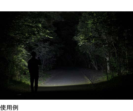 ジェントス LEDライト (フォーカスコントロール機能付き) FLP-2306 1個 (ご注文単位1個) 【直送品】