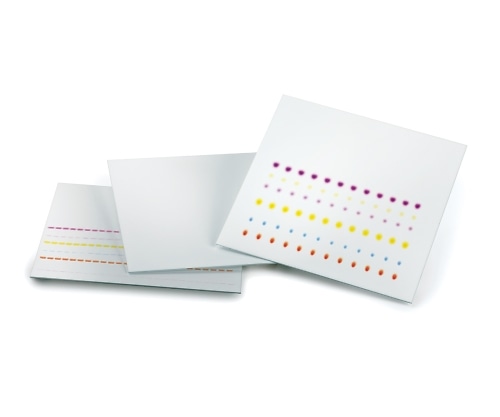 Merck 未修飾TLCプレート 蛍光指示薬無 200×200 ガラスプレート 1箱 (25枚入) 1.05721.0001 1箱 (ご注文単位1箱) 【直送品】