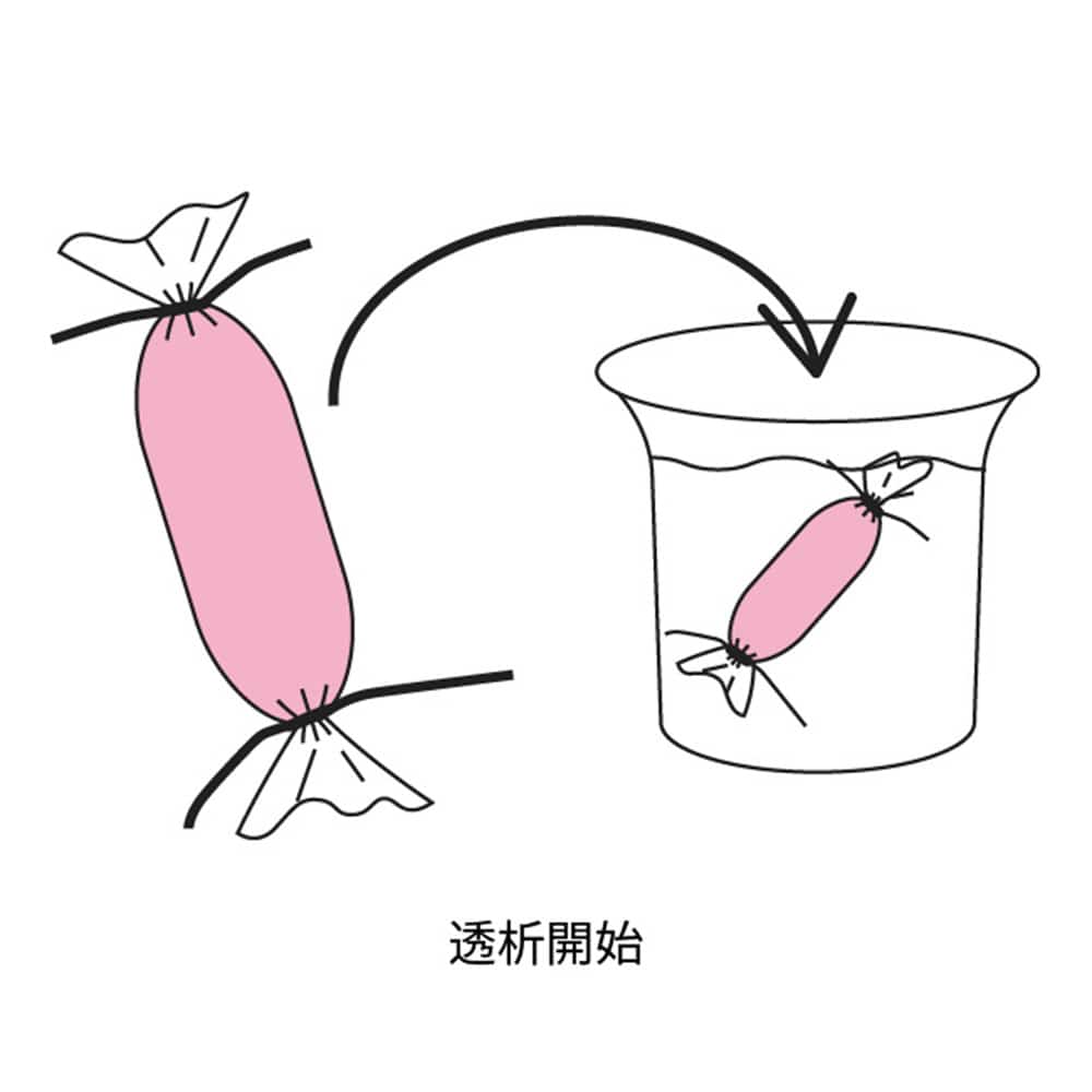 アズワン 透析チューブキット 0.05~0.8mL 3.5kDa 1セット (10本+ホルダー入) MIDI DANDY TUBE 1セット (ご注文単位1セット) 【直送品】