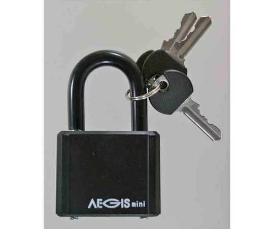 和気産業 AEGIS南京錠 本体幅50mm IB-105 1袋(ご注文単位1袋)【直送品】