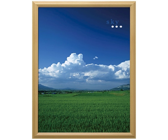 万丈 V ポスター額 B2判 ナチュラル VPF-B2NL 1個(ご注文単位1個)【直送品】