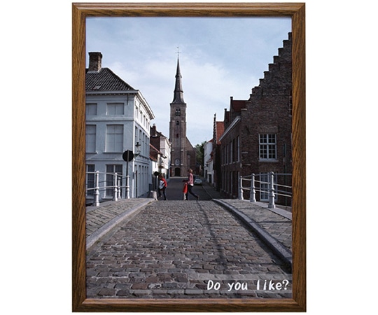 万丈 V ポスター額 B2判 ブラウン VPF-B2BR 1個(ご注文単位1個)【直送品】