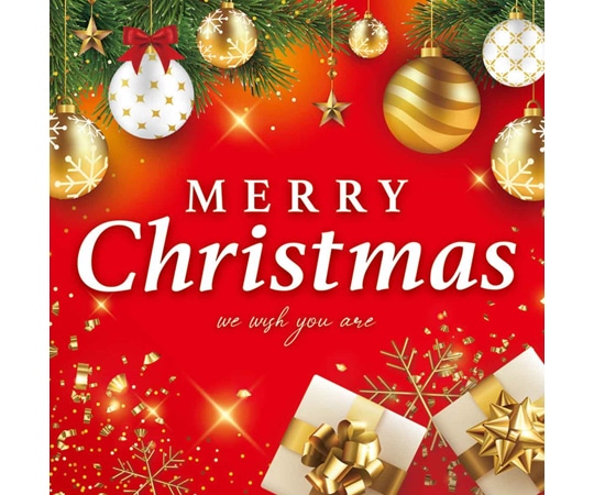 アズワン メリークリスマス テーマポスター 両面 36×36cm 10枚入 38-119-10-1 1個(ご注文単位1個)【直送品】