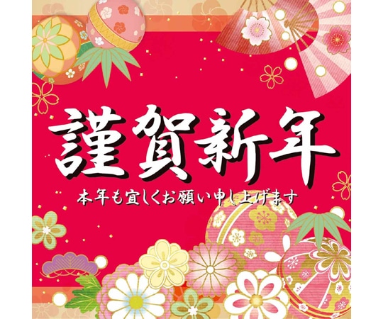 アズワン 謹賀新年 正月ポスター テーマポスター 両面  36×36cm 10枚入 38-155-5-1 1個(ご注文単位1個)【直送品】