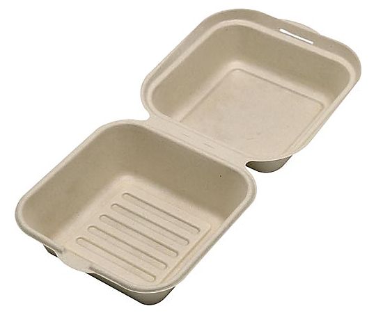 ストリックスデザイン 未晒しバガスモールドフードパックスクエア 1パック(25枚入) SD-725 1パック(ご注文単位1パック)【直送品】