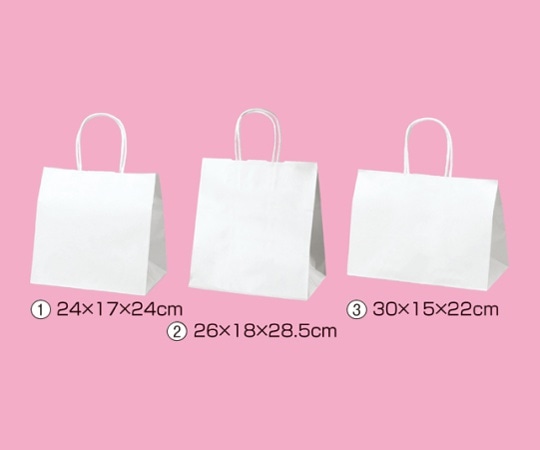 ストア・エキスプレス 持ち手付き紙袋 丸ひもタイプ 白無地 30×15×22 入数200枚 61-431-25-15 1セット（ご注文単位1セット）【直送品】