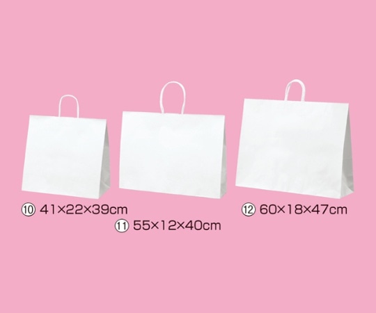 ストア・エキスプレス 持ち手付き紙袋 丸ひもタイプ 白無地 41×22×39 入数200枚 61-431-25-22 1セット（ご注文単位1セット）【直送品】