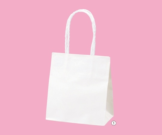 ストア・エキスプレス スムースバッグ 白無地 15×8×16.5 入数300枚 61-309-5-9 1セット（ご注文単位1セット）【直送品】