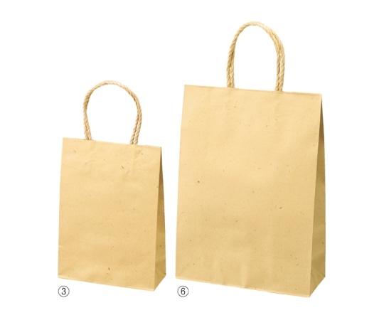 ストア・エキスプレス スムースバッグ ナチュラル 22×12×26.5 300枚 61-309-7-13 1セット（ご注文単位1セット）【直送品】