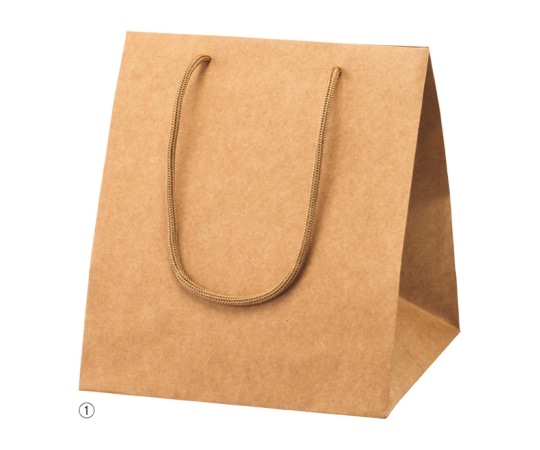 ストア・エキスプレス アレンジバッグ 茶 23×23×27 50枚 61-310-1-5 1セット（ご注文単位1セット）【直送品】