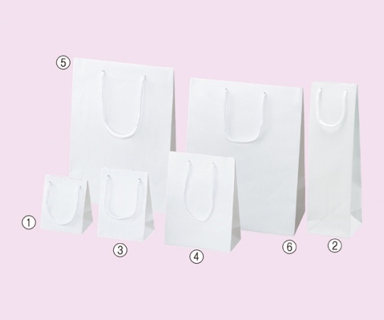 ストア・エキスプレス 持ち手付き紙袋 エンボス 白 11×10×36.5 入数50枚 61-313-8-8 1セット（ご注文単位1セット）【直送品】