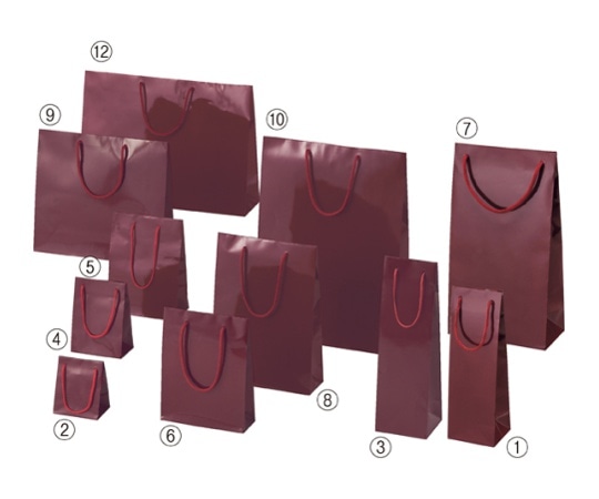 ストア・エキスプレス ブライトバッグ エンジ 9.5×8×29 入数50枚 61-314-3-13 1セット（ご注文単位1セット）【直送品】