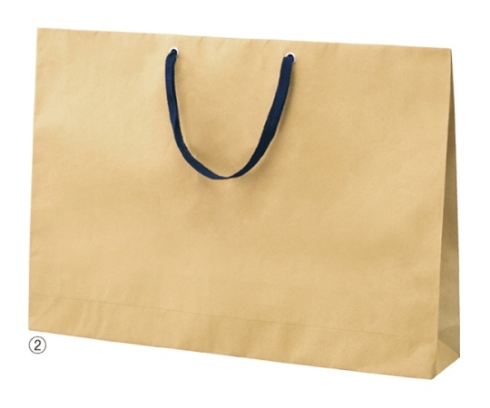 ストア・エキスプレス ショルダーバッグ ベージュ 紺ひも 60×10×42 入数50枚 61-317-9-4 1セット（ご注文単位1セット）【直送品】