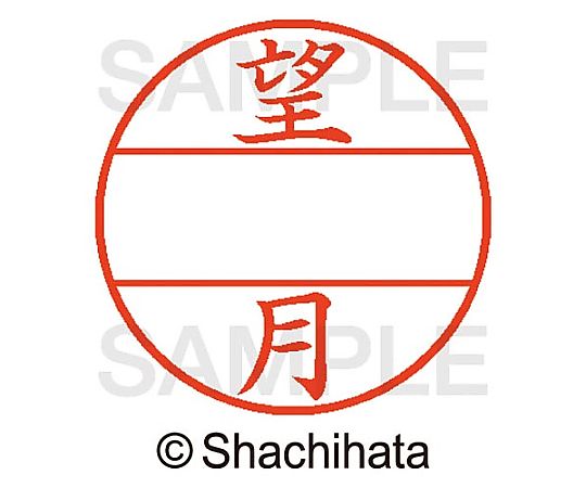 シヤチハタ データーネームEX15号 マスター部 既製 望月 XGL-15M-01920 1個(ご注文単位1個)【直送品】