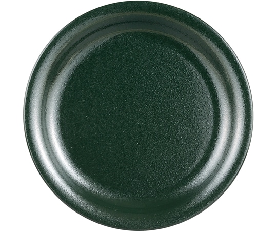 福井クラフト 21cm ラーメントレー 緑クリヤータタキ 45151848 1個（ご注文単位1個）【直送品】