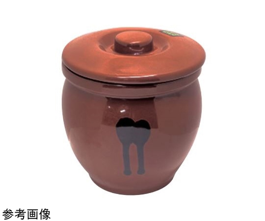 スギコ産業 陶器蓋付 ミニかめ 0.2号 360mL 0.2号 38528901 1個（ご注文単位1個）【直送品】