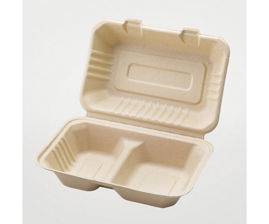 パックスタイル 弁当容器 BBランチ240-150-2 50枚×5パック入 649683 1ケース(ご注文単位1ケース)【直送品】