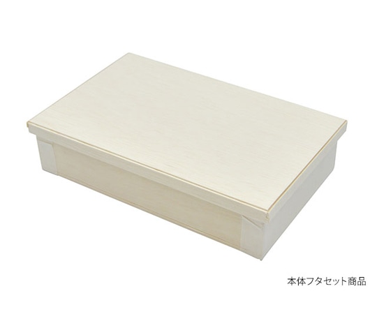 パックスタイル 弁当容器 ファルカタ164-100 セット 25枚×16パック入 650645 1ケース(ご注文単位1ケース)【直送品】