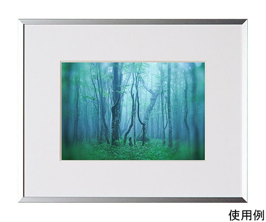 ケンコー・トキナー アルミ額縁 ギャラリー 2L シルバー AGY-2L-SV 1箱(ご注文単位1箱)【直送品】