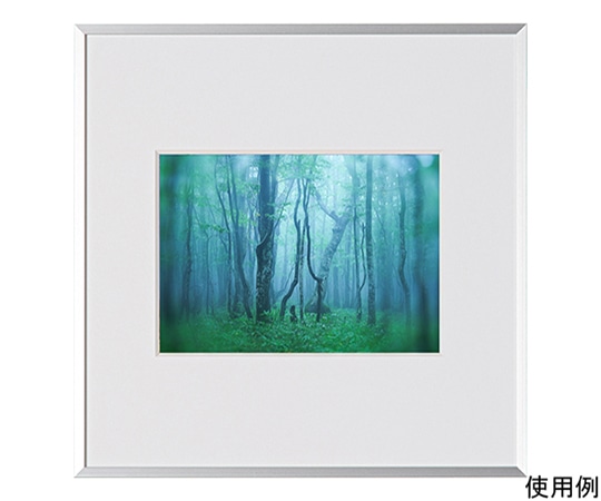 ケンコー・トキナー アルミ額縁 ギャラリー 2Lスクエア シルバー AGY-2LSQ-SV 1箱(ご注文単位1箱)【直送品】