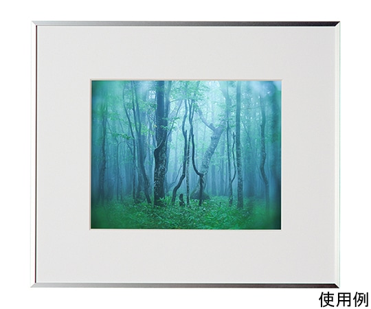 ケンコー・トキナー アルミ額縁 ギャラリー 六切 シルバー ACY-6-SV 1箱(ご注文単位1箱)【直送品】