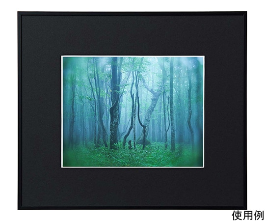 ケンコー・トキナー アルミ額縁 ギャラリー 六切 ブラック ACY-6-BK 1箱(ご注文単位1箱)【直送品】