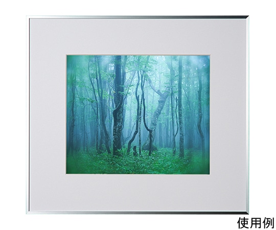 ケンコー・トキナー アルミ額縁 ギャラリー 四切 シルバー ACY-4-SV 1箱(ご注文単位1箱)【直送品】