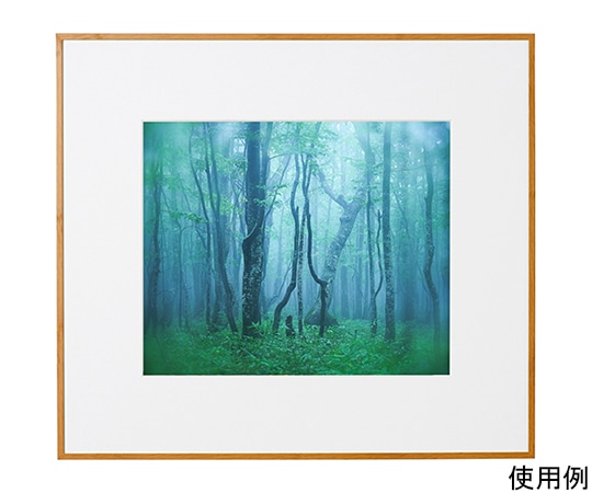 ケンコー・トキナー アルミ額縁 ギャラリー 四切 ナチュラル(木目調) ACY-4-NA 1箱(ご注文単位1箱)【直送品】