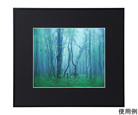 ケンコー・トキナー アルミ額縁 ギャラリー 四切 ブラック ACY-4-BK 1箱(ご注文単位1箱)【直送品】