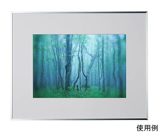 ケンコー・トキナー アルミ額縁 ギャラリー ワイド四切 シルバー ACY-W4-SV 1箱(ご注文単位1箱)【直送品】