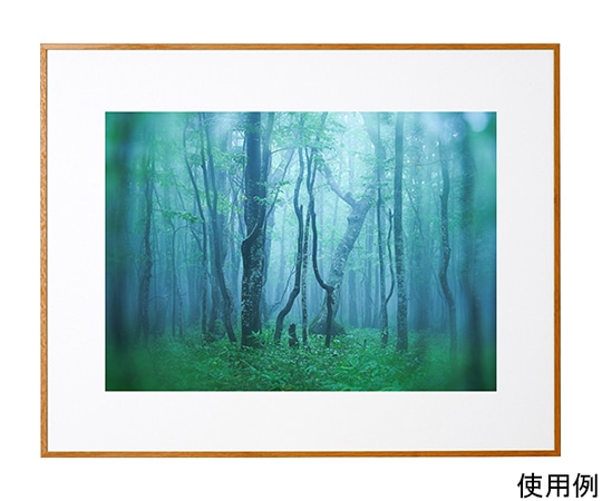 ケンコー・トキナー アルミ額縁 ギャラリー ワイド四切 ナチュラル(木目調) ACY-W4-NA 1箱(ご注文単位1箱)【直送品】