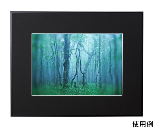 ケンコー・トキナー アルミ額縁 ギャラリー ワイド四切 ブラック ACY-W4-BK 1箱(ご注文単位1箱)【直送品】