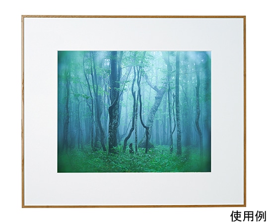 ケンコー・トキナー アルミ額縁 ギャラリー 半切 ナチュラル(木目調) ACY-H-NA 1箱(ご注文単位1箱)【直送品】