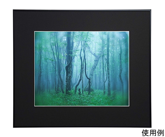 ケンコー・トキナー アルミ額縁 ギャラリー 半切 ブラック ACY-H-BK 1箱(ご注文単位1箱)【直送品】