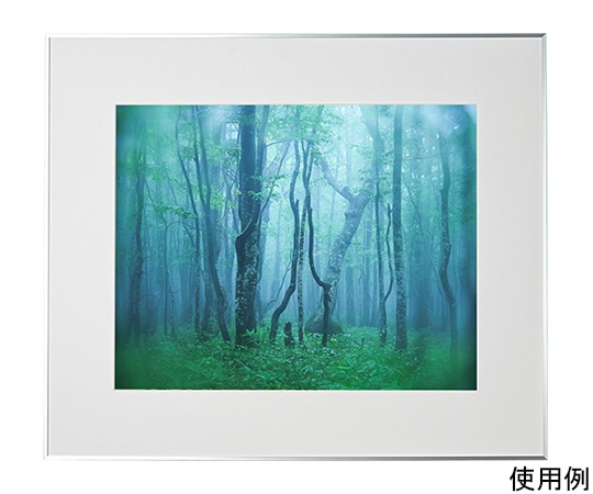 ケンコー・トキナー アルミ額縁 ギャラリー 全紙 シルバー ACY-Z-SV 1箱(ご注文単位1箱)【直送品】