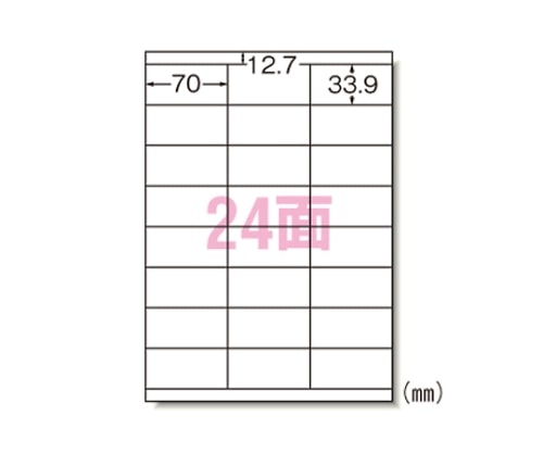 エーワン(A-ONE) ラベルシール[レーザープリンタ]マット紙 A424面 31163 1パック(ご注文単位1パック)【直送品】